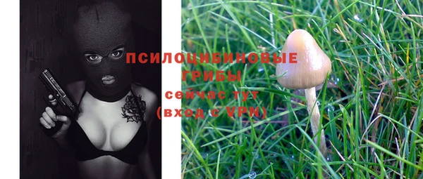 марки nbome Богданович