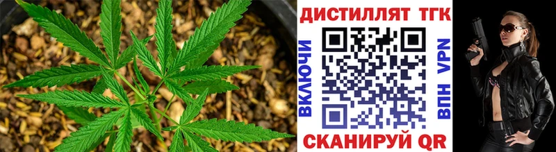 Дистиллят ТГК вейп  Болотное 
